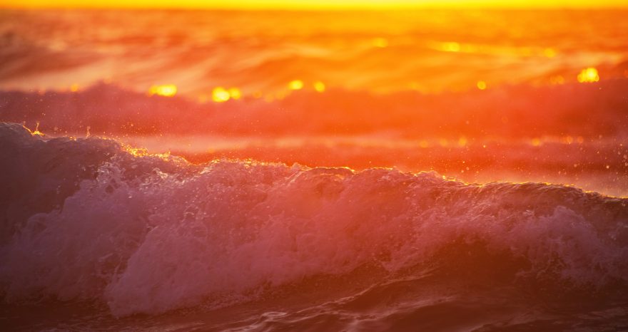 Rinnovabili • Global ocean warming in 2023-2024: a once-in-500-years event
